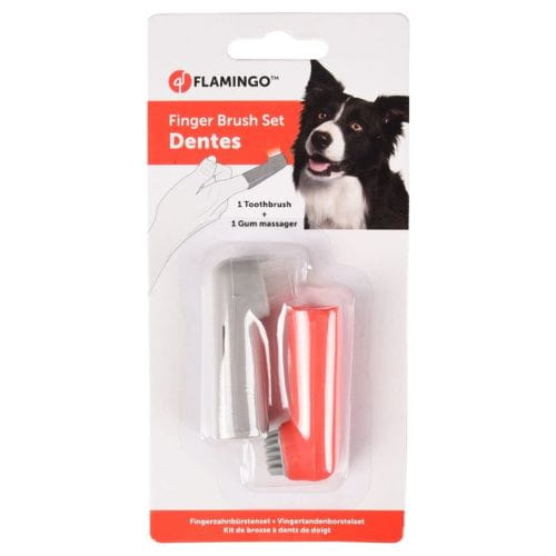 Flamingo Szczoteczki do Zębów – Zestaw 2 Końcówek dla Psa