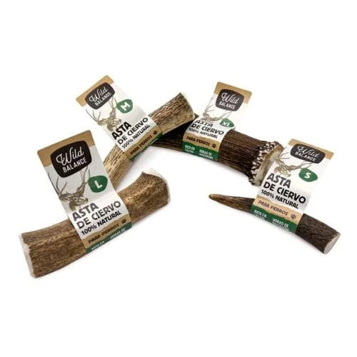 Wild Balance – Twarde Poroże Jelenia XL 151–225g dla Dużych Psów