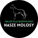 Wielkie Otwarcie Sklepu NaszeMolosy – Wszystko, Czego Potrzebuje Twój Duży Pies!