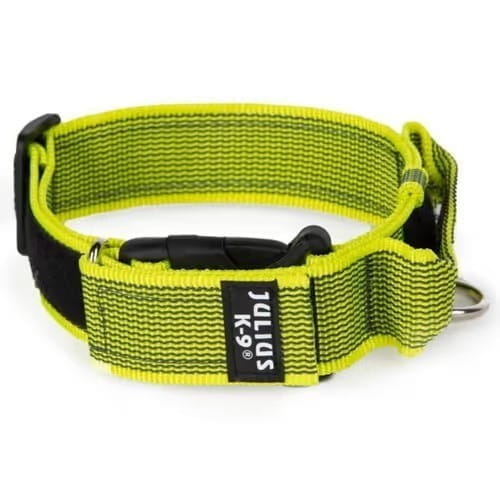 Julius-K9 Obroża Color&Gray 40mm – Treningowa, Bezpieczna