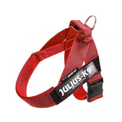Julius-K9 IDC Color&Gray Belt Harness – Lekkie Szelki dla Psów Silnych Ras – Rozmiar 0
