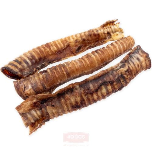 Tchawica Wołowa Suszona 30 cm 4DOGS – Gryzak Wspierający Zęby