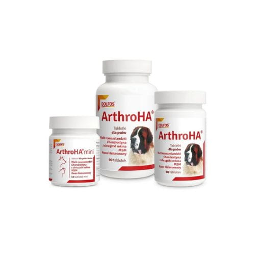 Dolfos ArthroHA 90 tabl. – Kompleks na Stawy z Kwasem Hialuronowym