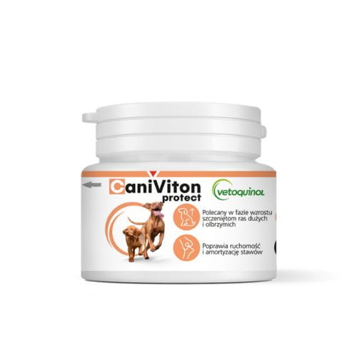 Caniviton Protect 30 tabletek – Na Stawy Dla Dużych Psów