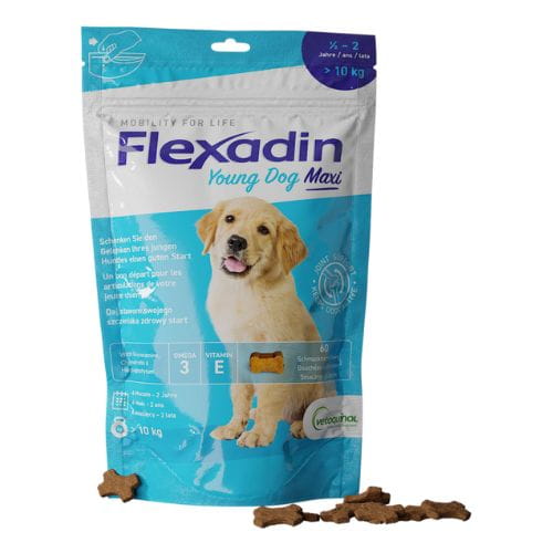 Flexadin Young Dog Maxi – Na Stawy Młodych Psów Dużych Ras